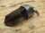kwarc dymny wisior amulet
