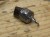 kwarc dymny wisior amulet