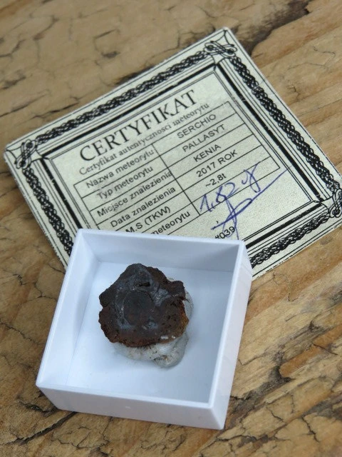 Meteoryt pallasyt * Serchio