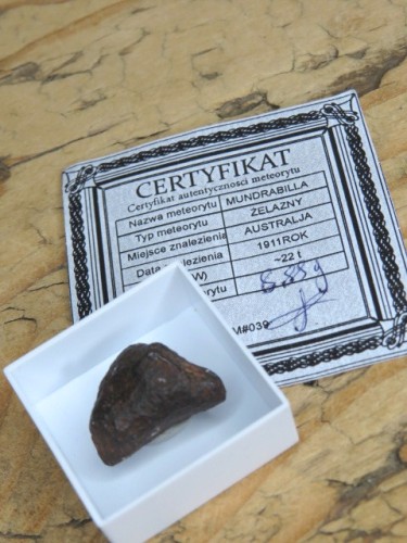 Meteoryt żelazny Mundrabilla
