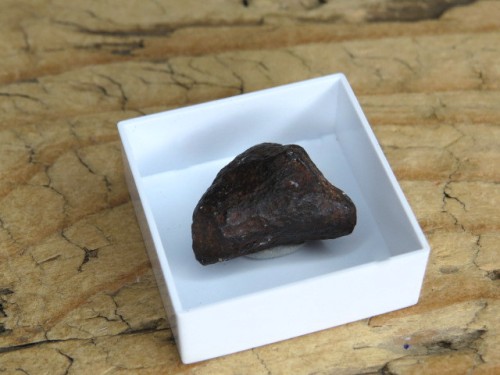 Meteoryt żelazny Mundrabilla