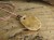 Wisiorek z symbolem Welesa – talizman mocy, ochrony i kontaktu z przodkami