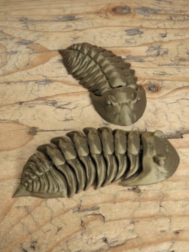 Trylobit Dalmanites – ruchoma replika 3D
