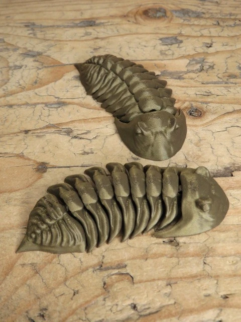Trylobit Dalmanites – ruchoma replika 3D