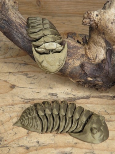 Trylobit Dalmanites – ruchoma replika 3D
