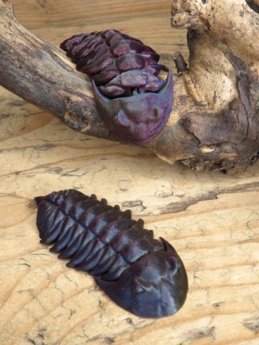 Trylobit Dalmanites – ruchoma replika 3D