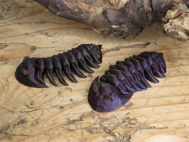 Trylobit Dalmanites – ruchoma replika 3D