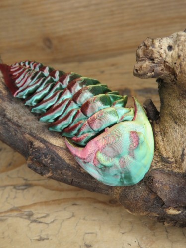 Trylobit Dalmanites – ruchoma replika 3D