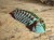 Trylobit Dalmanites – ruchoma replika 3D