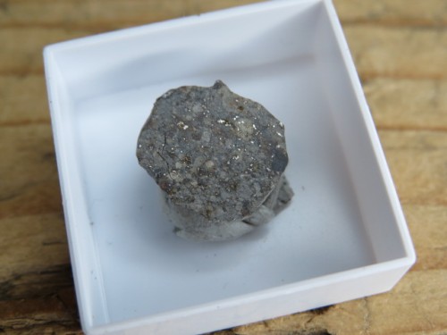 Meteoryt kamienny NWA 869