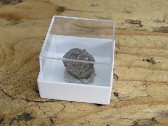 Meteoryt kamienny NWA 869