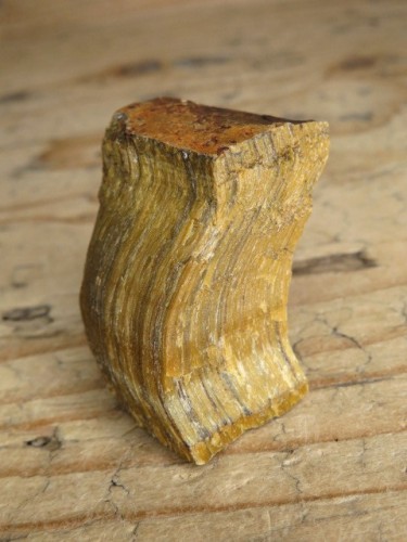 tygrysie oko RPA