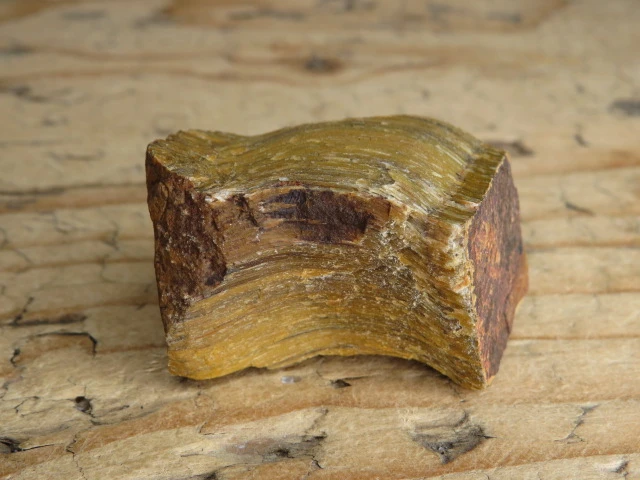 tygrysie oko RPA