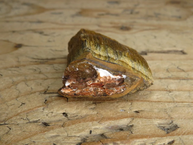 tygrysie oko RPA