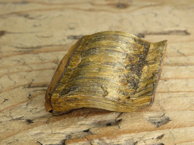 tygrysie oko RPA