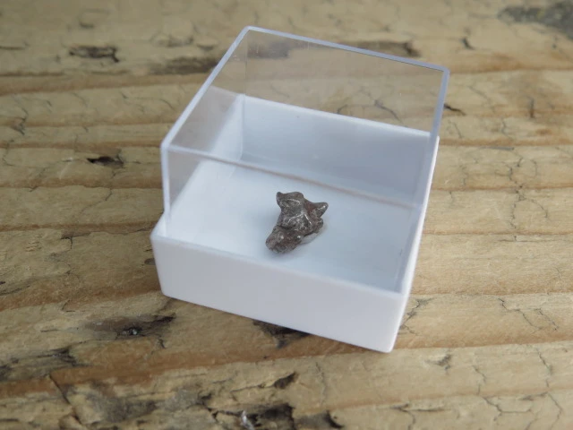 Meteoryt żelazny Campo del Cielo
