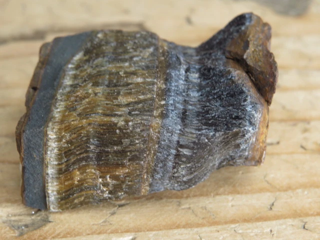 tygrysie i sokole oko - RPA
