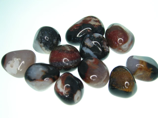 sardonyks 
