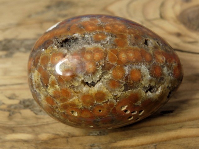 jaspis orbikularny * jajo, jajko
