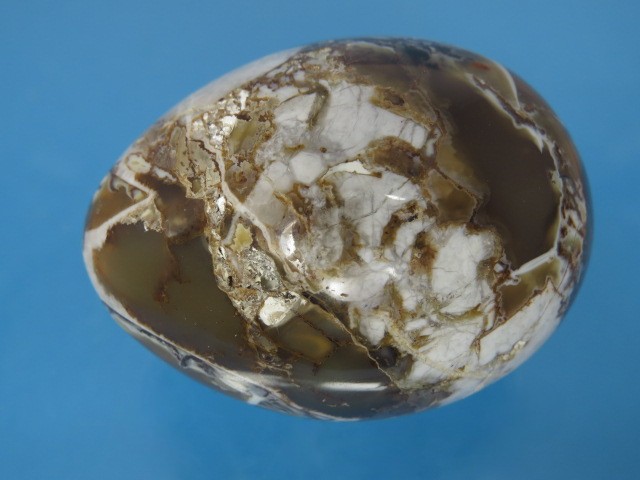 brekcja * jajko, jajo