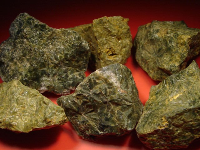 prazjolit 