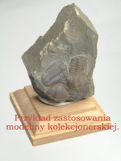 modelina kolekcjonerska - montażowa