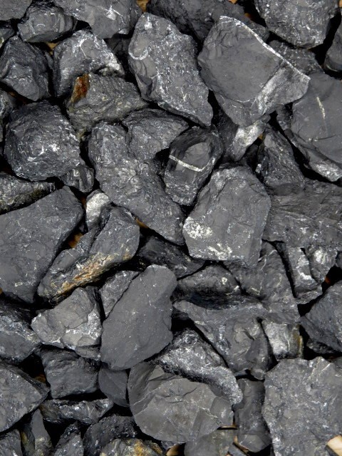 szungit * skała metamorficzna 