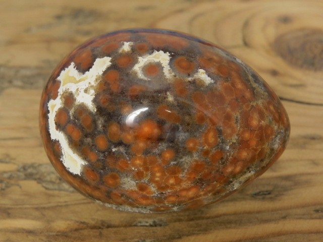 jaspis orbikularny * jajo, jajko